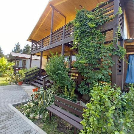 Гостевой Дом Фазенда Hotel Pizunda Exterior photo